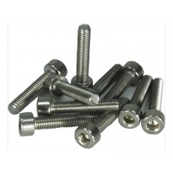 10 vis Inox 4x20 BTR